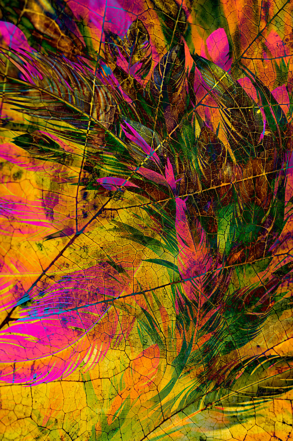 "Forest Abstract No.36"