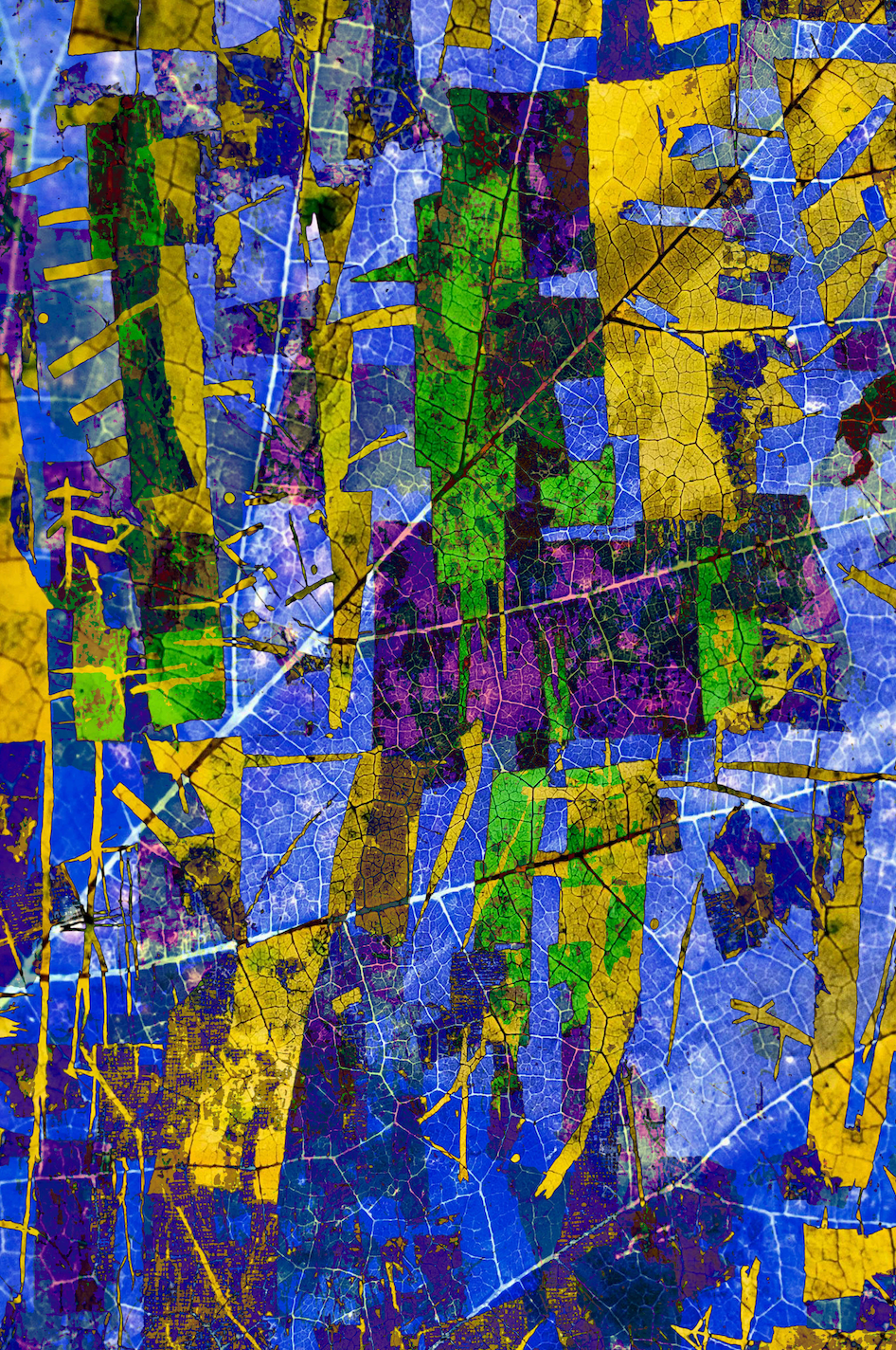 "Forest Abstract No.40"