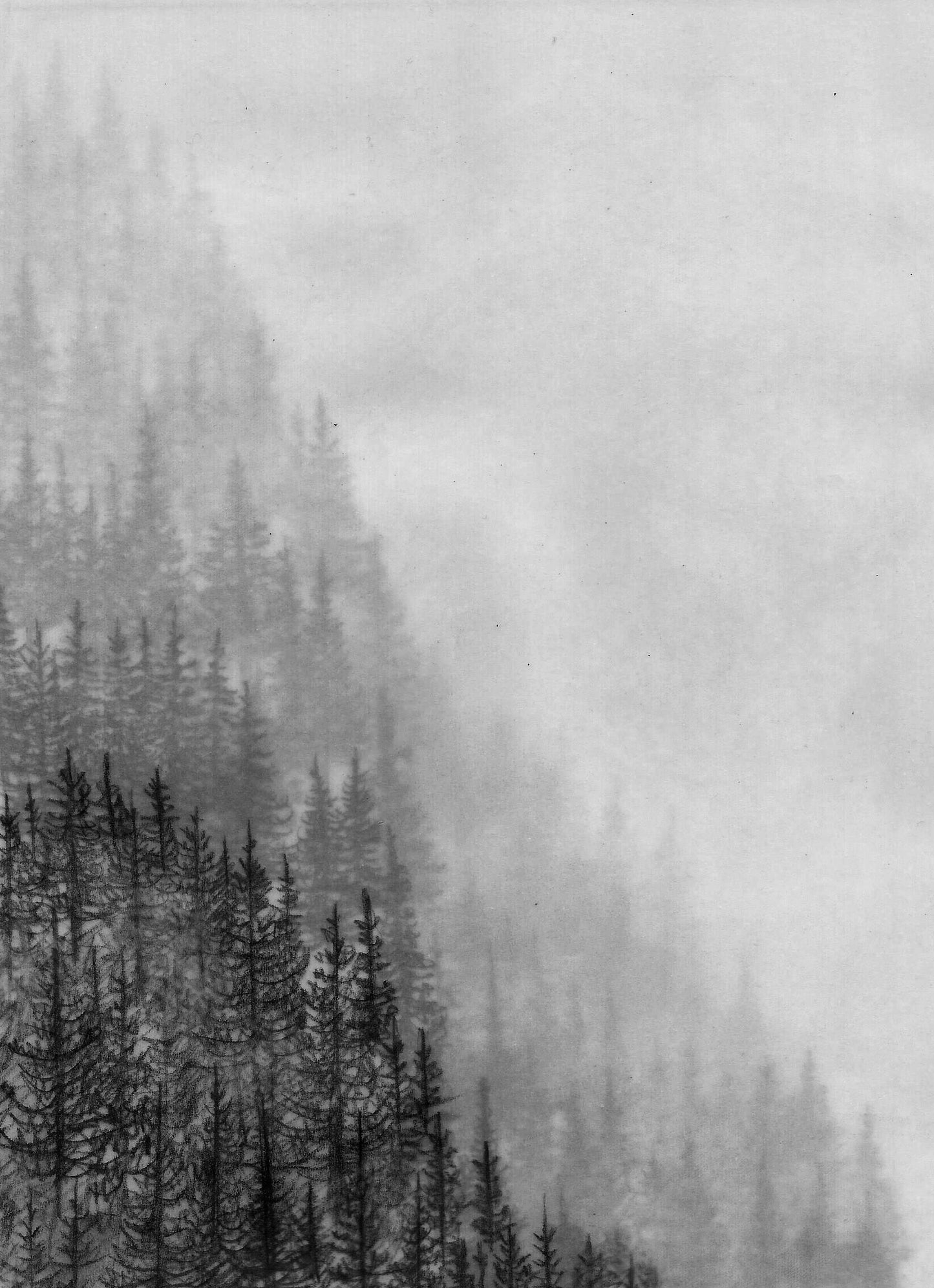 "novembre"