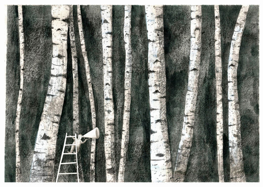 "birch forest"