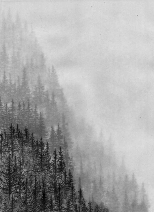 "novembre"