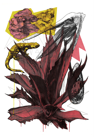 "KOAGULATION"
