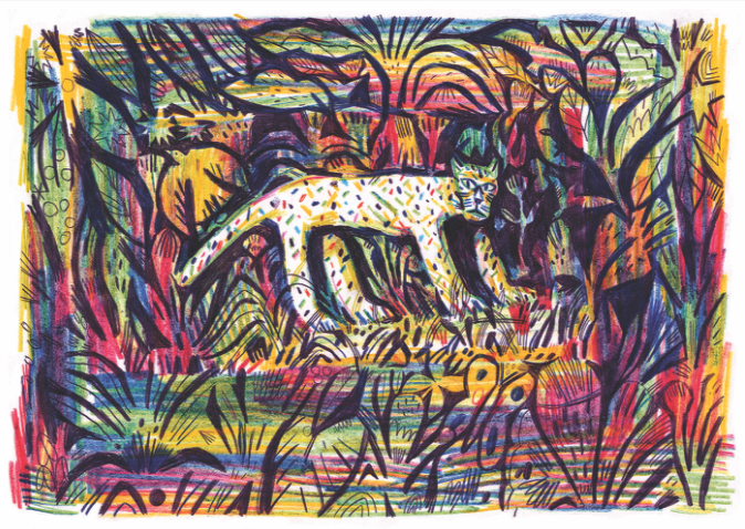 "spirit of the amazon"